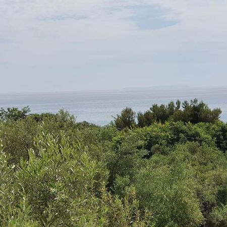 בורש Seaview Apartment מראה חיצוני תמונה