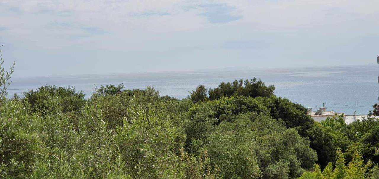 בורש Seaview Apartment מראה חיצוני תמונה
